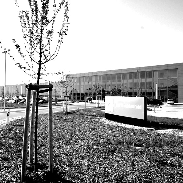 BilderGalerie_Gew2